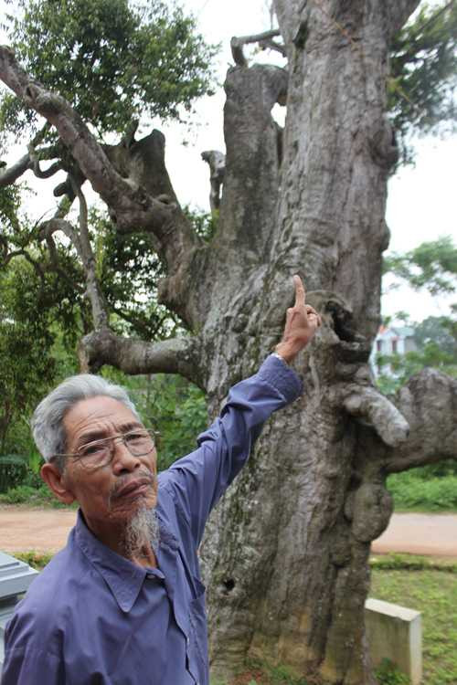 chuyen-ly-ky-o-mieu-tho-su-hoc-co-nhat-viet-nam-hinh-4