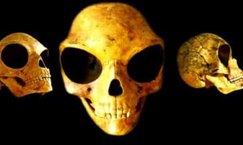 3-phat-hien-khao-co-bi-an-nhat-lich-su-nhan-loai-hinh-3
