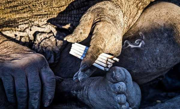 nguoi-dan-ong-to-tinh-that-bai-khong-tam-60-nam-4