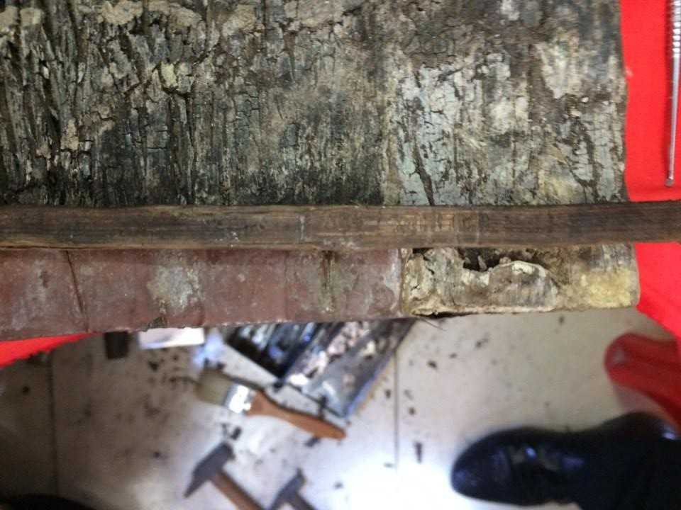 16838129_1562382363776249_519542738_n