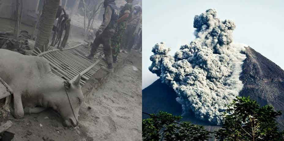 anh-am-anh-nhung-tham-hoa-nui-lua-khung-khiep-nhat-tg-hinh-5