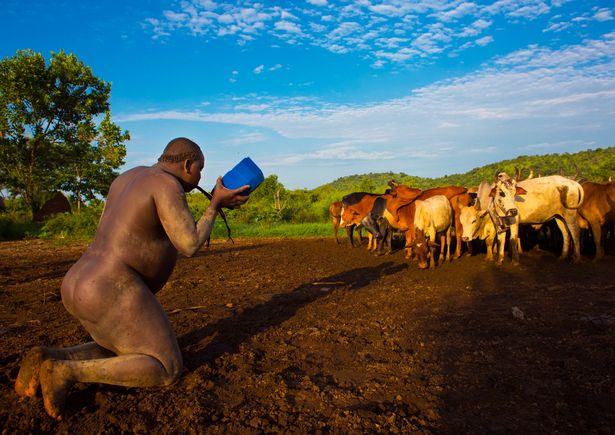 790_bo-toc-bodi-2-1490978370615