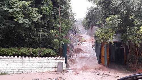 13595951_1221729904518581_1859042668_n