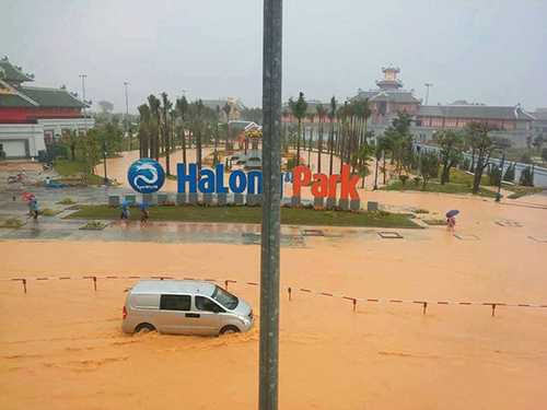 13599104_1221729911185247_1402671976_n