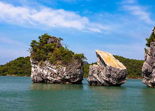 13707657_740314752737860_5727115426767967955_n