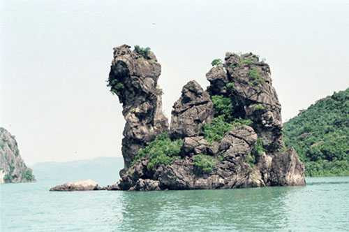 images719730_Tr12.DT_1