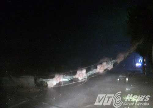 13867068_1015830251871952_1868905735_n