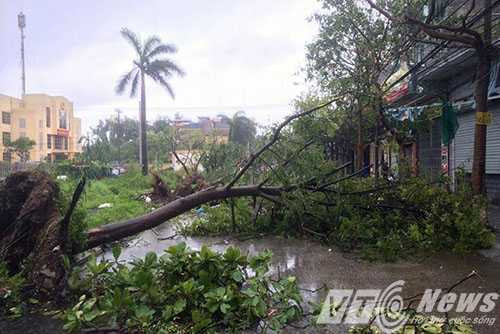 13672411_1016049405183370_31034142_n