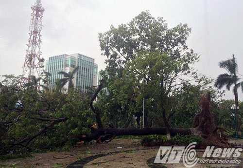 13866826_1016051688516475_486503124_n