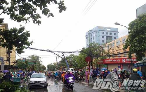 13872524_1016043861850591_1562696133_n