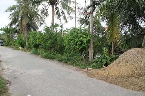 images1641216_kien_8063