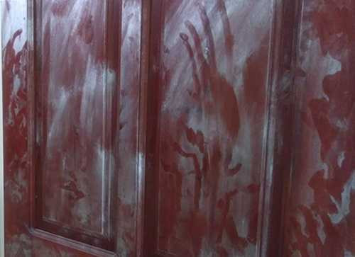 14393209_1066772630059252_785608682_o