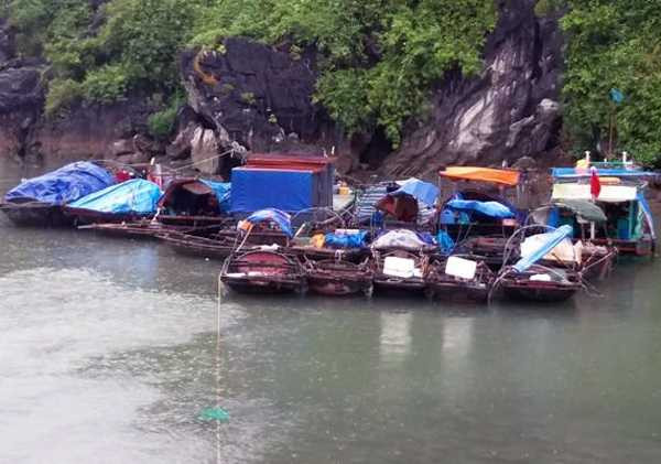 14658202_220542841696857_