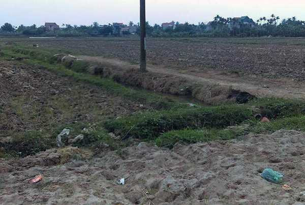 16251389_365444433848381_5309636_o