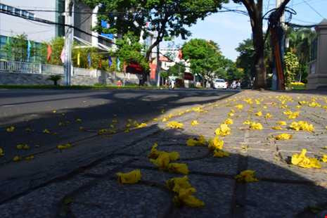 Sài Gòn thênh thanh, bình lặng trong sáng đầu năm - ảnh 14