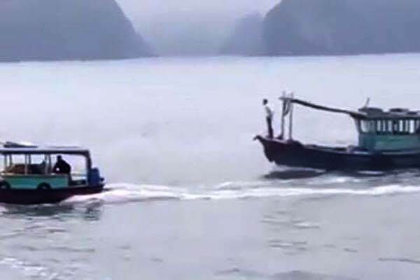 17439668_398447073881450_837058384_n