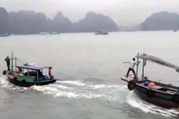 17440162_398447120548112_2109705316_n