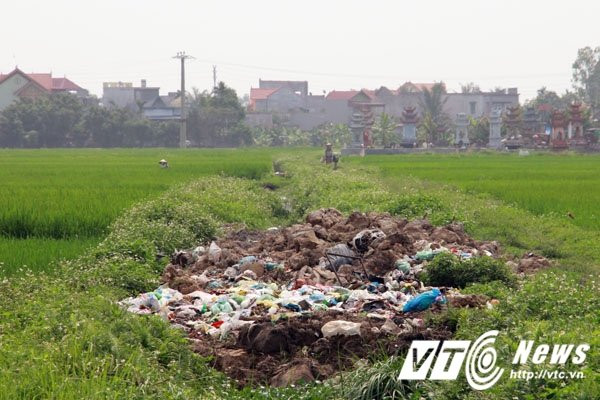 Hinh anh Nguoi chet 'song chung' voi rac thai hoi thoi o Hai Phong 10