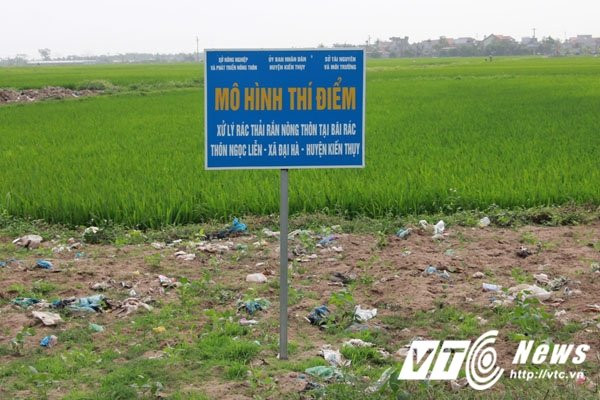 Hinh anh Nguoi chet 'song chung' voi rac thai hoi thoi o Hai Phong 11