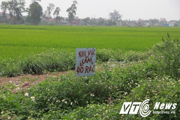 Hinh anh Nguoi chet 'song chung' voi rac thai hoi thoi o Hai Phong 12