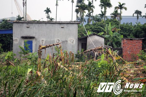 Hinh anh Anh: Hien truong hon 2ha chuoi bi nhom con do dat Cang dung dao kiem pha nat 23