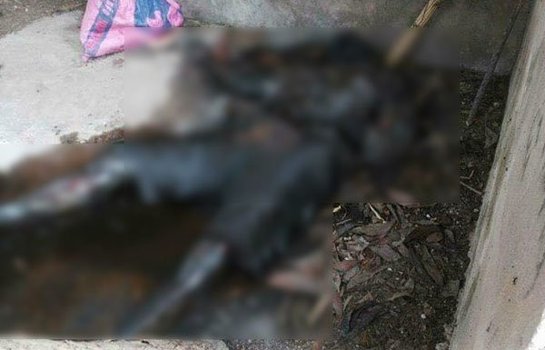 19142199_443871899338967_297979921_n