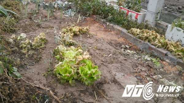 IMG_20170309_220622 copy