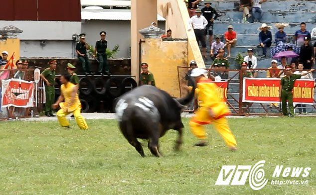 Trau dien hung tung chu nhan-2