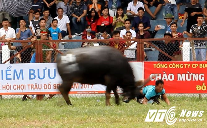 Trau dien hung tung chu nhan-5