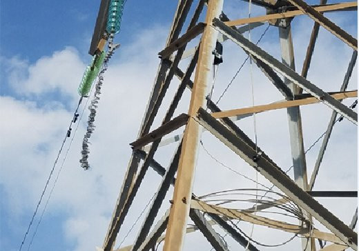 dut cap dien o cat ba