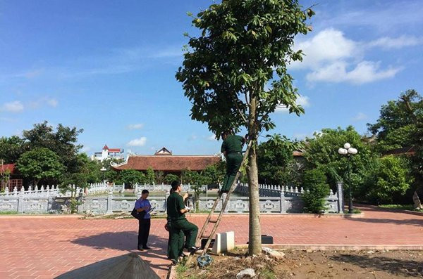 21903589_379810249103448_1974065618_n