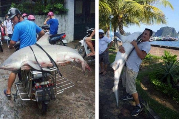 3987aca8-ab2d-469b-aea8-90cc4be83fac