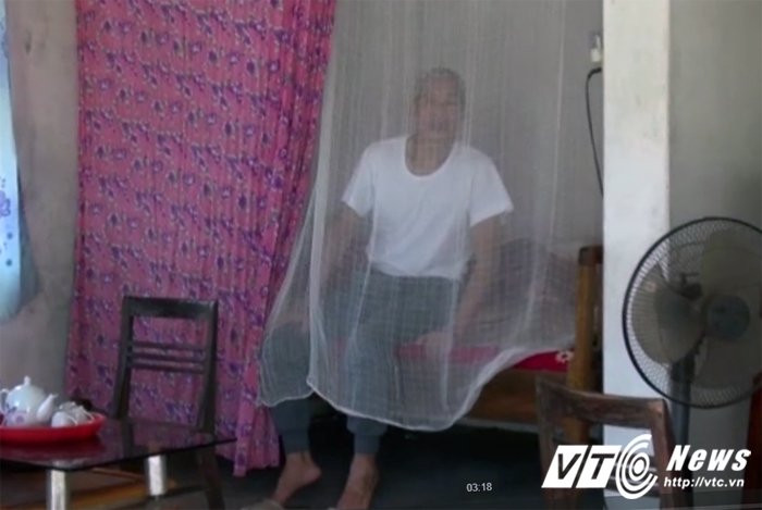 yeu rau xanh 81 tuoi