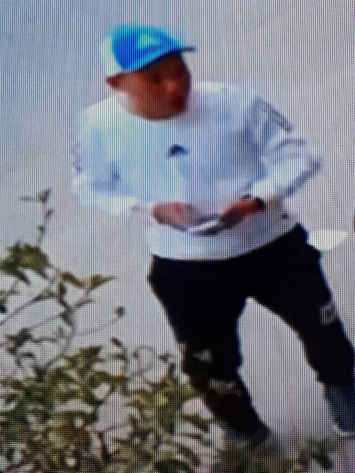 26805443_197781027443422_1442801134950593742_n