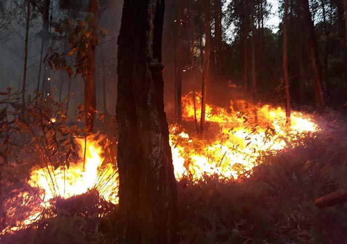 27783944_733111146886337_1690117858_n