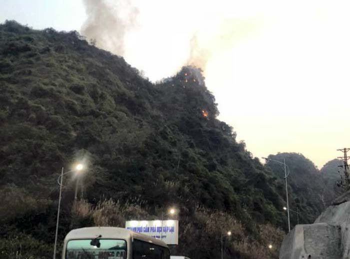 27849059_733106290220156_440665087_n 3