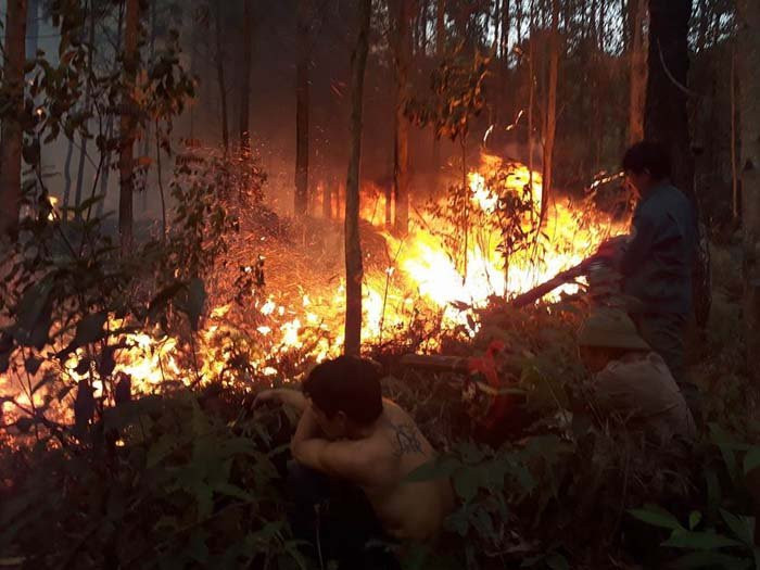 27934829_733111143553004_672667036_n