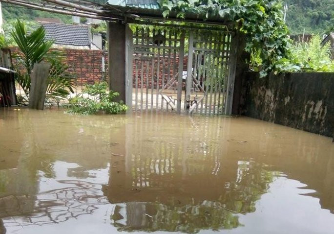 5-FB Tuyet Chip - Quang Hanh CP