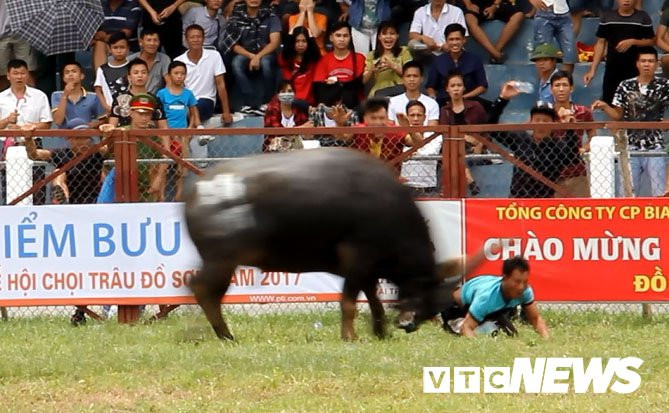 Trau dien hung tung chu nhan-5