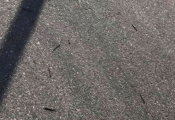 46482786_1897665747013897_5488985031969865728_n