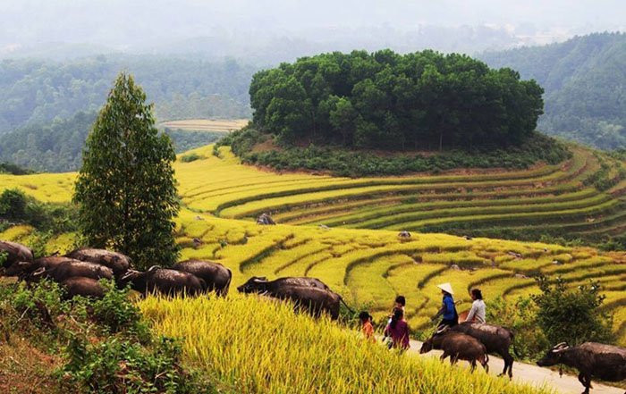 45672291_1816365458476191_7979838267174420480_n 12