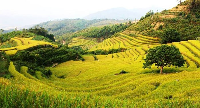 45706808_1816365428476194_4652501062576504832_n 13