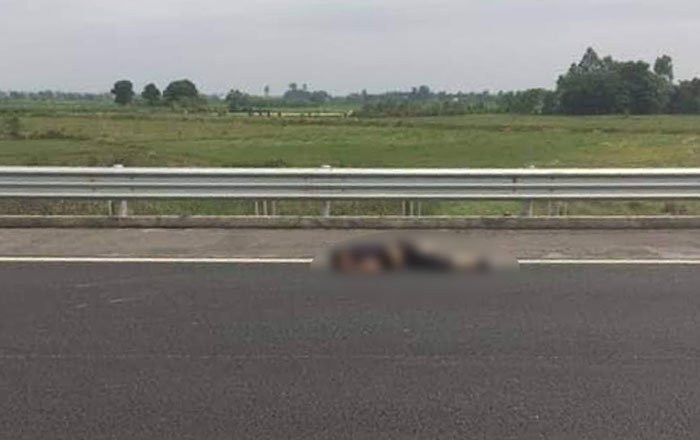 55698516_130111331396051_4025934757941477376_n