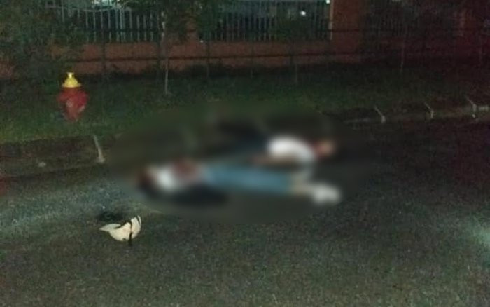 56485600_1289394711214018_7231551880701149184_n