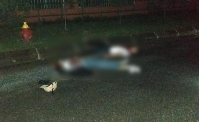 56218174_1160921534080082_9170985959968210944_n (1)