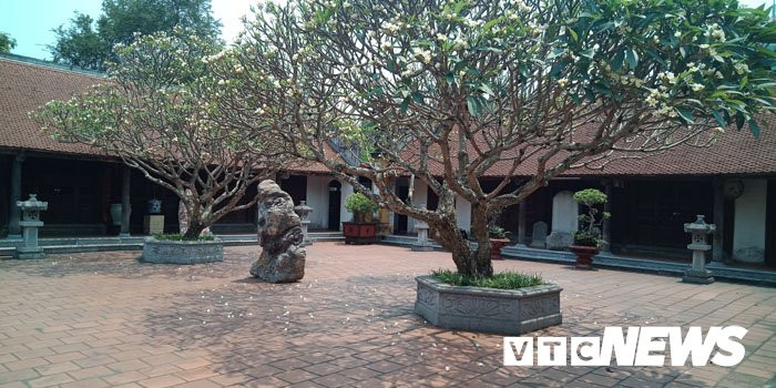 den chua le phat bi su tru tri chui, duoi ra khoi chua-2 5