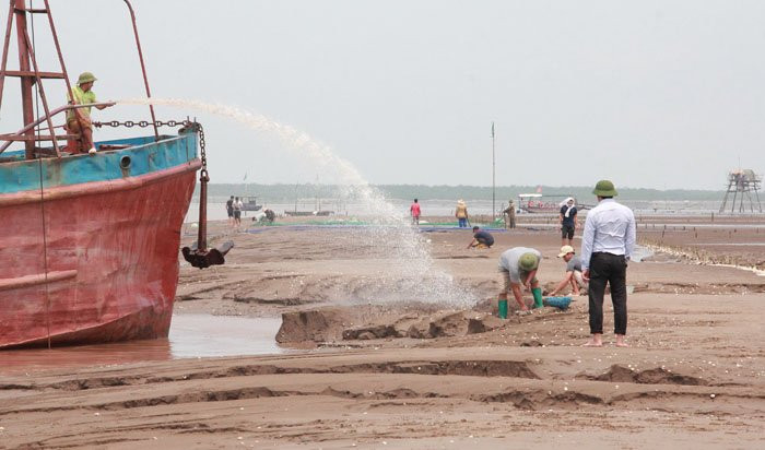 tau hut cat o khu vuc bai boi huyen tien lang hai phong 5