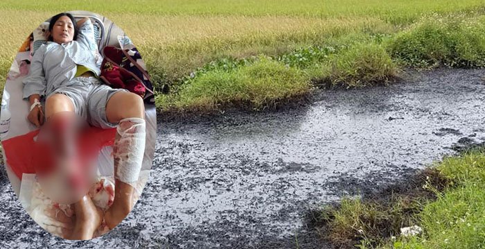 chat thai doc hai bi do trom o hai phong