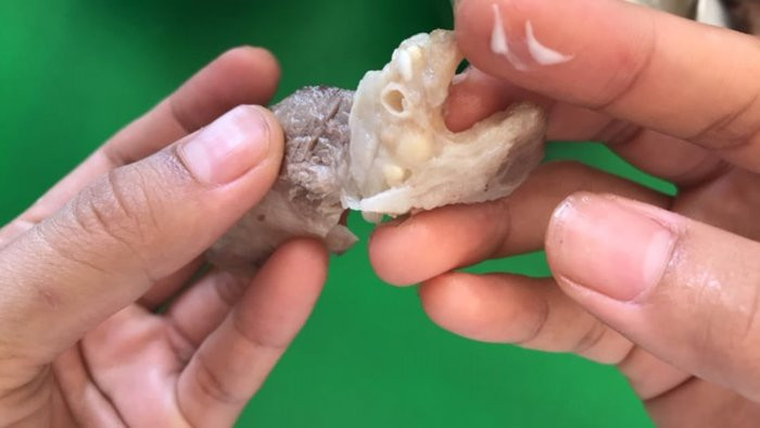 60335140_398038897717934_3269261404145713152_n