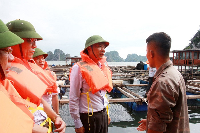 bao so 2 quang ninh1